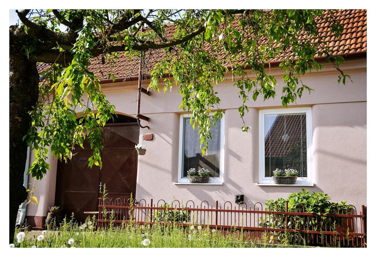 Ubytovani U Trati Moravská Nová Ves Bagian luar foto